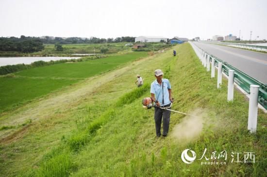 哨位|600米一哨位 鄱阳湖畔村民自发“组团”护大堤