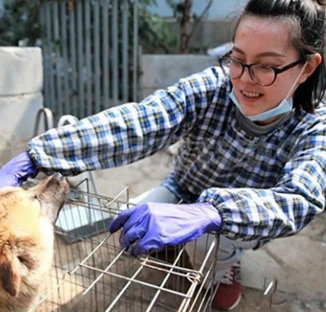  沿街乞讨|演技不如狗？“残疾”狗拖着双腿沿街乞讨，围观群众却说：别管它！