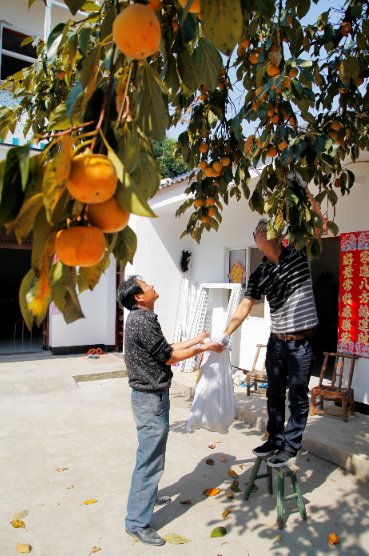 美味|长兴的这些美味，让你满足一整个秋天！