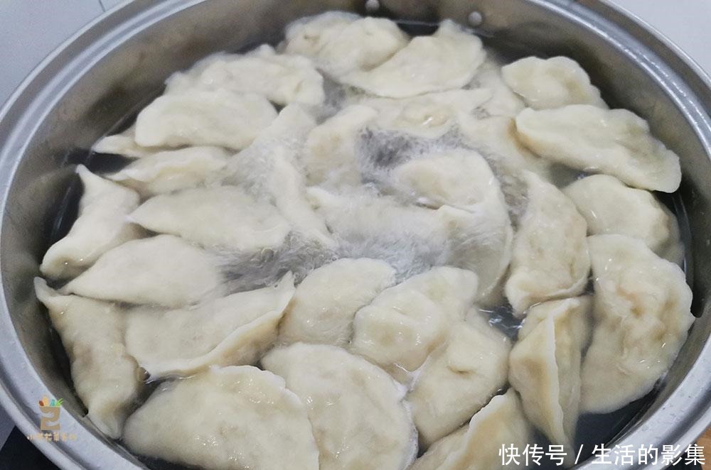 适量|立秋后吃饺子,这3样食材巧搭配,便宜又营养,鲜香开胃真解馋