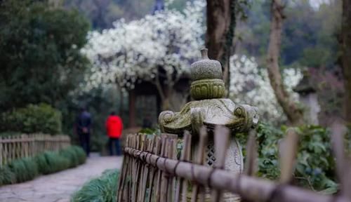  杭州|去了杭州才知道，这才叫生活