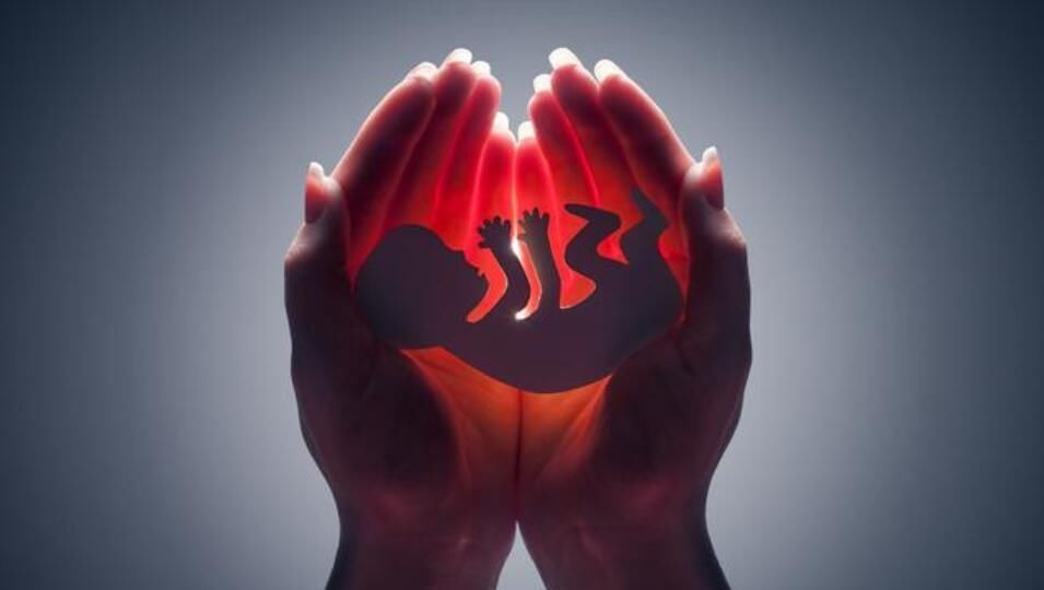  女性|男子网售堕胎药狂赚百万，买家多为年轻女性，这些避孕方法要牢记