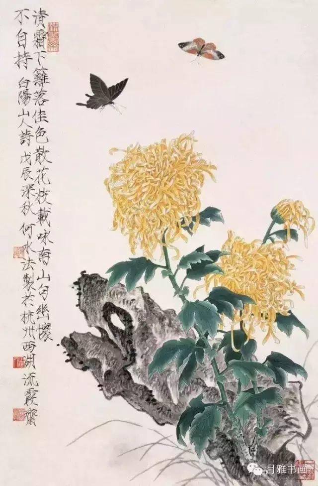  名家|秋菊佳色！——历代名家画菊