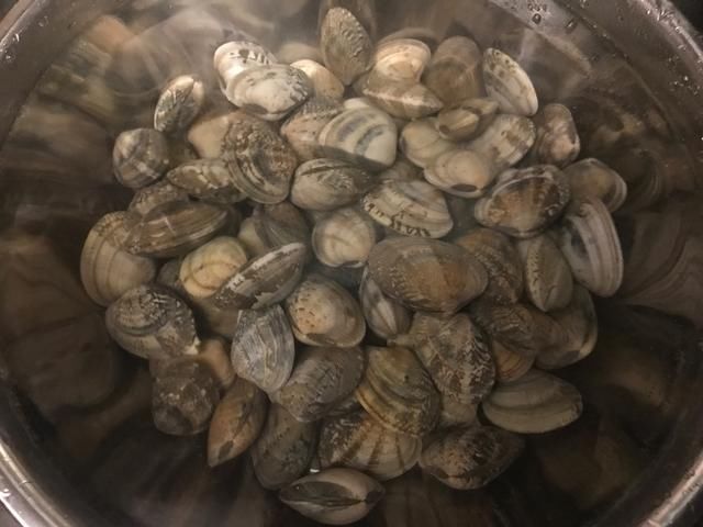  老公|此小海鲜营养还便宜，辣椒炒一炒，老公下酒，孩子就米饭