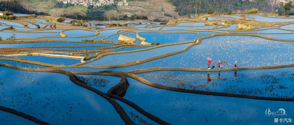  拍摄|美丽云南，大有可观 | 冬季欣赏壮丽的元阳梯田和浪巴铺土林