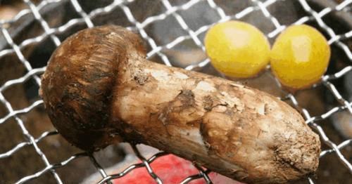 中国|中国最顶级的6种食材，鲍鱼第四，吃过第一种的非富即贵