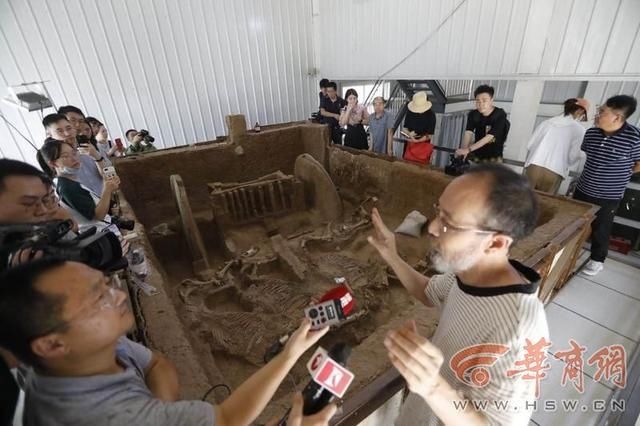  完毕|“西周第一豪车”清理保护完毕 马车装饰华丽被嵌成千上万绿松石