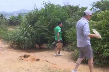 经验|小分队总结出经验，原来中午时候捉鸡最容易！