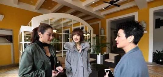 到底|何鸿燊家到底多有钱看到梁安琪包饺子用的馅料,贫穷限制想象