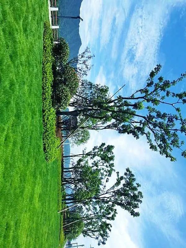  桐庐|这里将新增一条绝美道路，从杭州主城区一路通往桐庐！