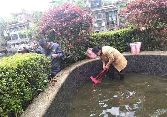  旅游|旅游正当时！洪雅七里坪度假区崭新面貌迎嘉宾