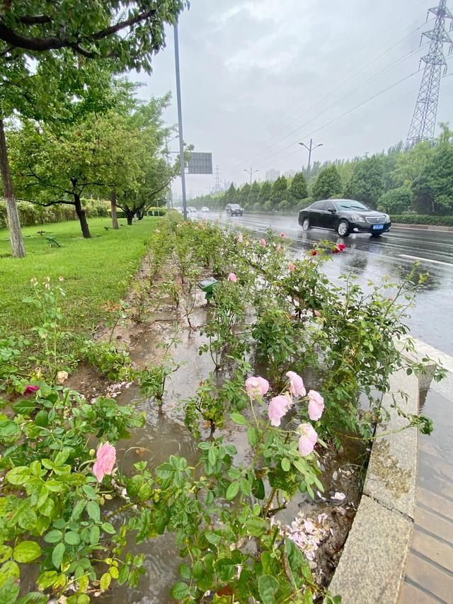 过程|太原迎来今夏最强降雨过程 部分低洼地段积水