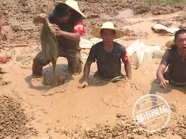  鄱阳|直击江西鄱阳抗洪抢险现场！无数感动瞬间