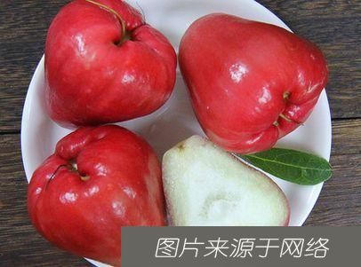  苦菊|女性不想老得快，3种食物可以多吃，美白护肤，好吃又健康！