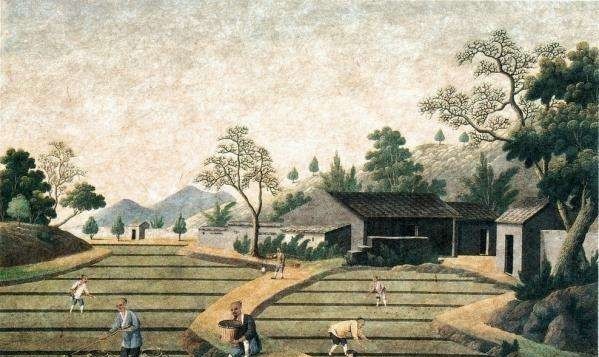 邂逅|唐宋茶事,国人与茶的浪漫邂逅