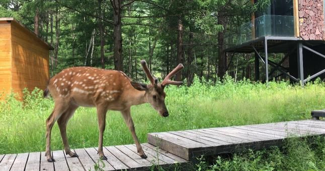 树皮画|【走向我们的小康生活】一个养在深闺的自然秘境 《亲爱的·客栈》曾在这里取景
