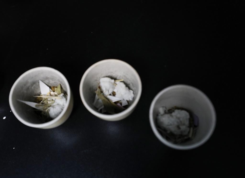  提供|垃圾组分有门道，他们的研究为垃圾分类提供决策依据