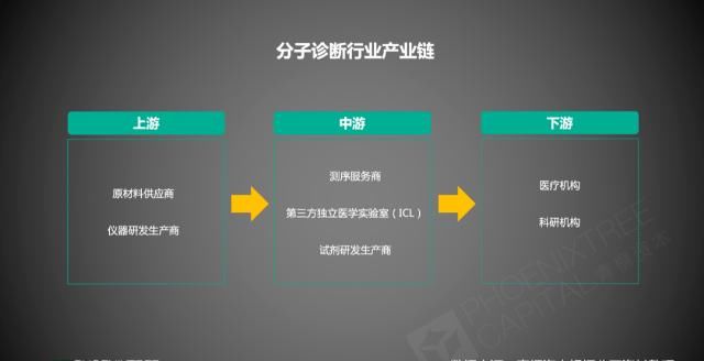 持续|分子诊断进击2020，如何持续领跑IVD？