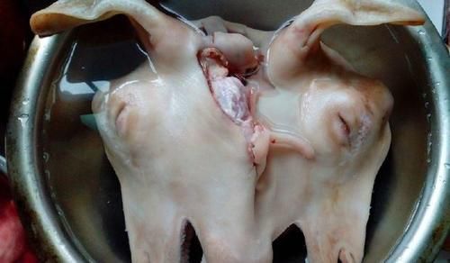 京城|从“羊头马”到“爆肚宛”，京城一绝名小吃“白水羊头”险失传！