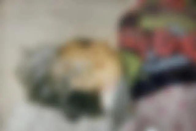  某某被杀案|26年、25年，谁都跑不掉！