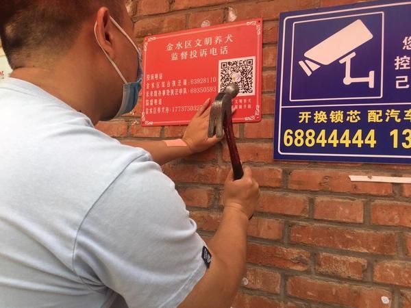 市民|郑州金水区推出“随手拍”，请市民举报不文明养犬行为