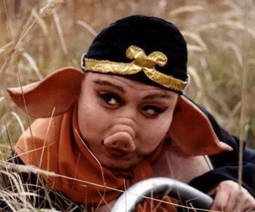 天天|为什么古代人很少吃猪肉,而现在却恰恰相反,几乎天天吃呢