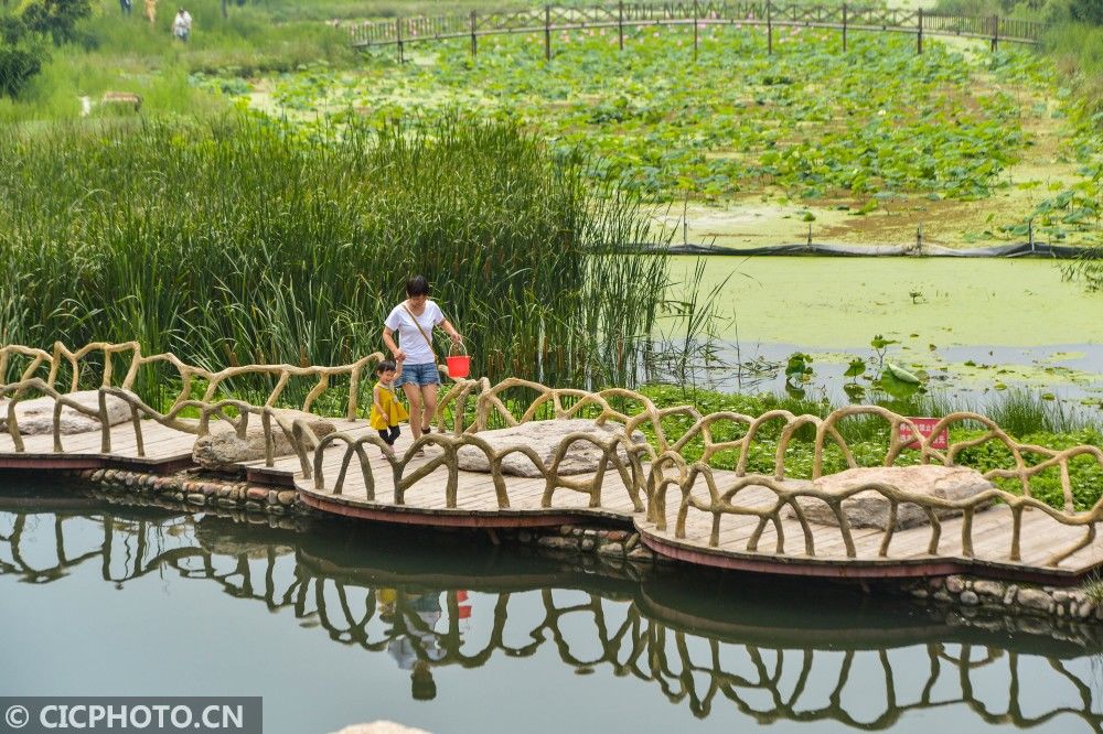 乡村|河北涉县：建设美丽乡村