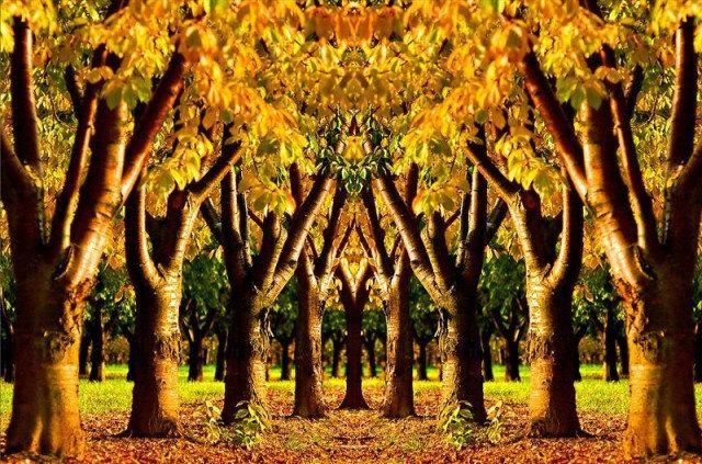  秋景|这一组迷人秋景，美爆了朋友圈！