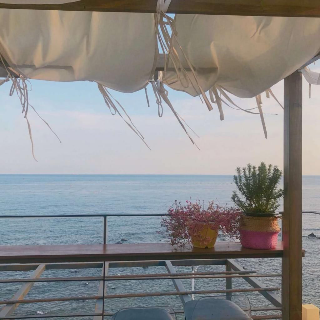  发芽|温柔了岁月的短句子:漫漫人生，祝你可爱得不像话，说话都像是在发芽