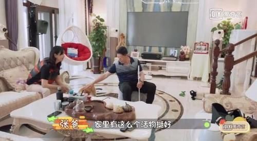 家务|《做家务的男人》第二季开播!张继科对狗的热情让父母吃醋!