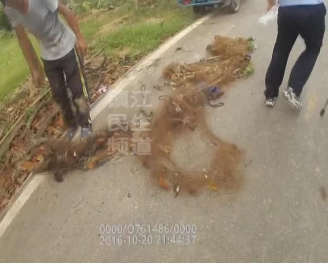 句容森林公安派出所|一下子猎杀了27个!