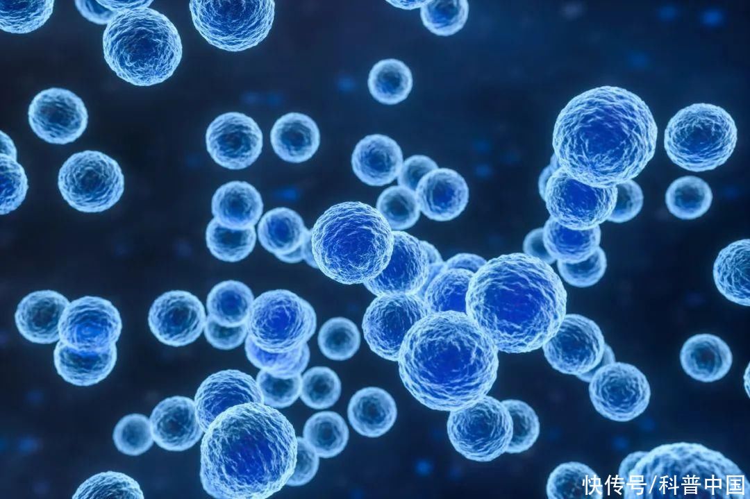 实现“永生不死”，她真的做到了！然而……2023