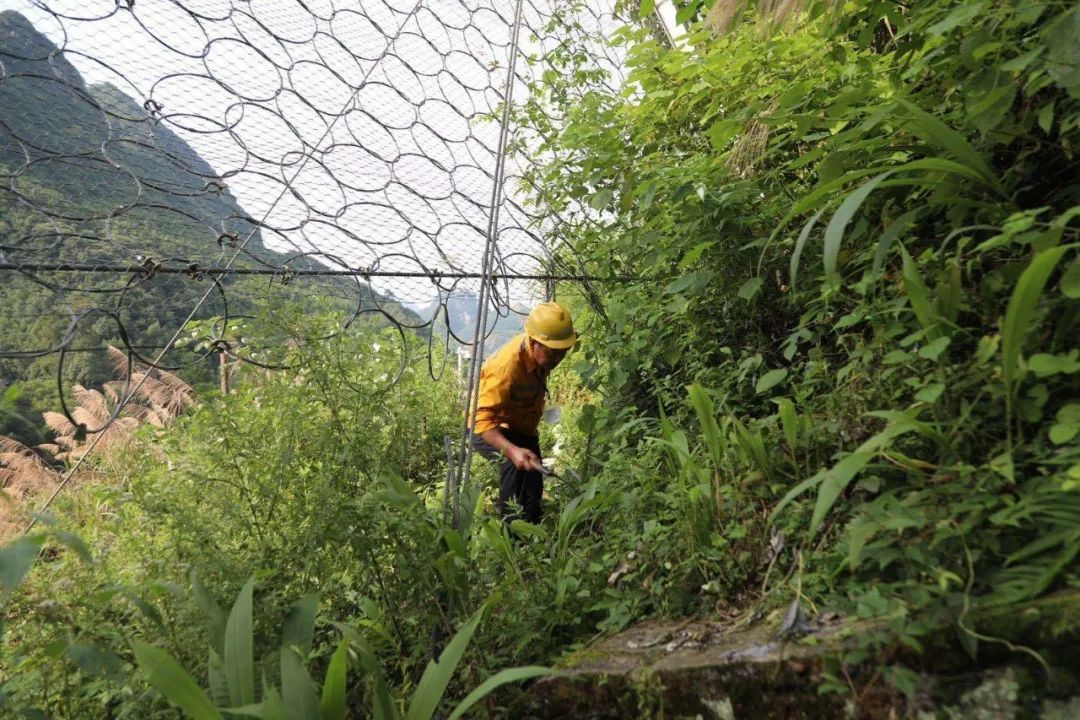 铁路|大雨来袭！两位老兵徒步走进深山里