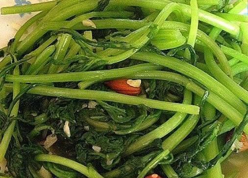  增添|饭前开胃菜，增添食欲清爽可口，孩子都爱吃隔三差五给孩子做一顿