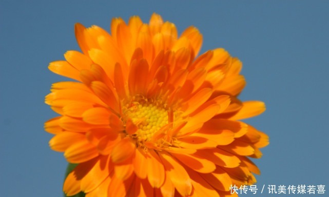 恋爱|恋爱中、乖巧懂事的星座女，没有隔夜仇，容易因爱释怀