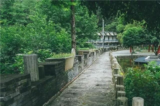 青田|青田发布丨“中国田鱼村”不单有田鱼