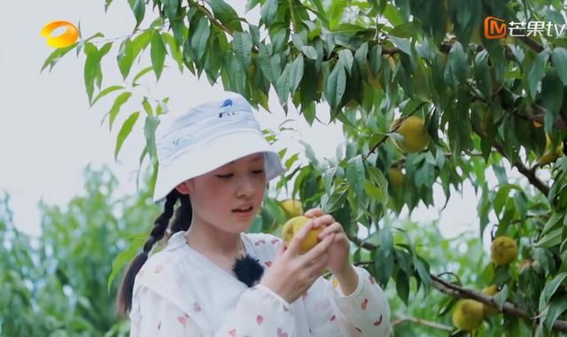  老百姓|《谁知盘中餐》靠剪辑升华了主题却经不起推敲，坑了善良的老百姓