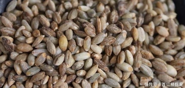 行家|买奶茶时,5种配料不要加,奶茶店老板一看就知道是行家