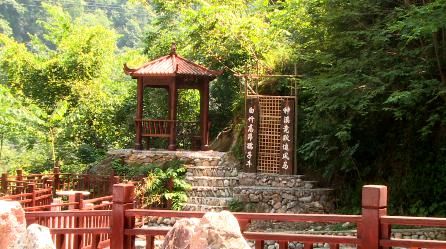  翻身仗|【决战决胜 脱贫攻坚】这个村打了场漂亮的“翻身仗”