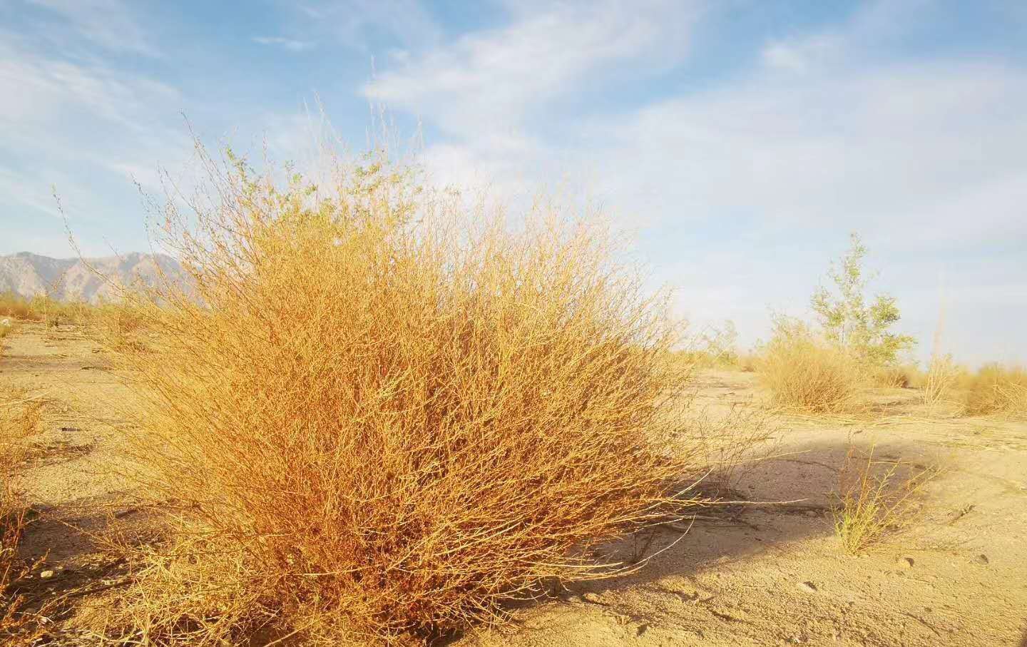 女性更|男主外女主内,应该被推崇吗