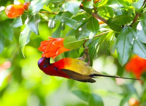  双鱼座|9月上旬开始，真爱来临，温馨有爱，桃花四处盛开的4大星座