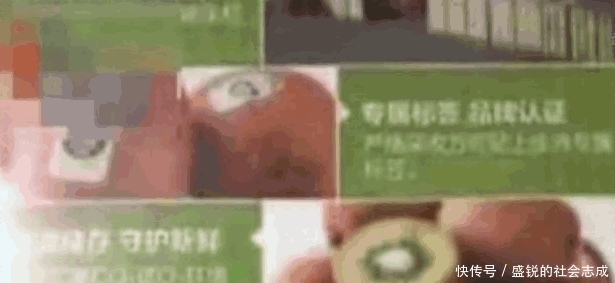 着想|男子网购五千盒猕猴桃, 商家: 为了客户着想不会发货的