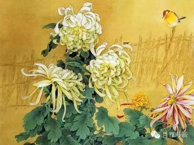  名家|秋菊佳色！——历代名家画菊