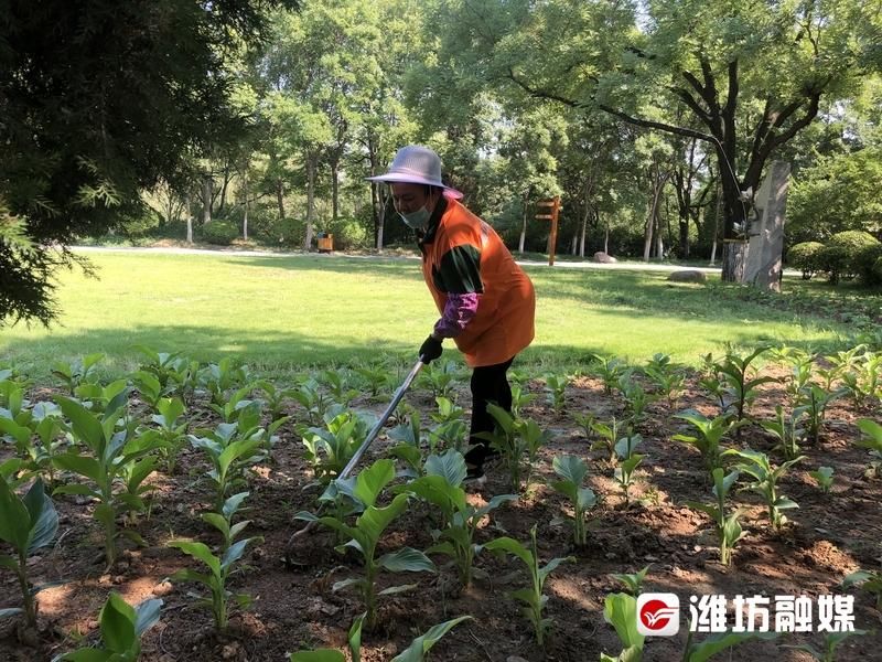 烈日下守护端午假期的你们，辛苦啦！