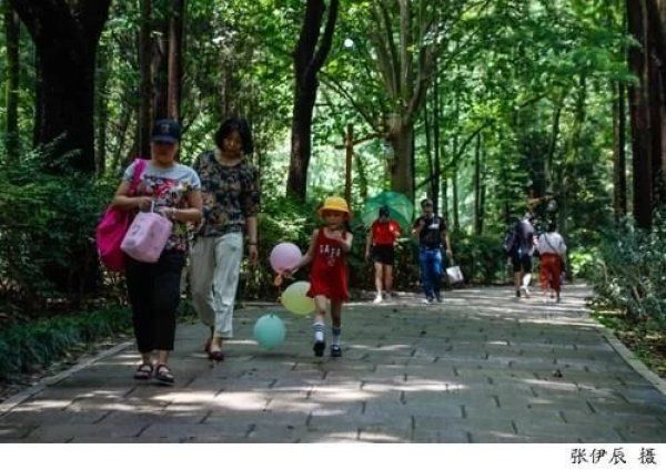 本世纪|出梅啦！上海人刚刚经历了本世纪以来最长最大的梅雨