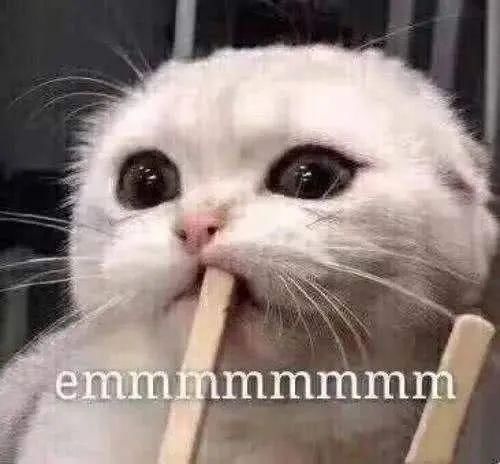 大暑|16:37 大暑节气至