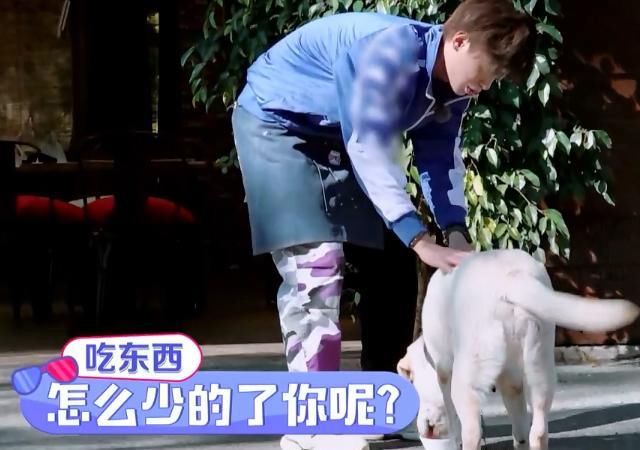  嘉宾|Jeffrey小鬼耳边密语，Justin被嘉宾扑倒在地，要亲亲抱抱举高高