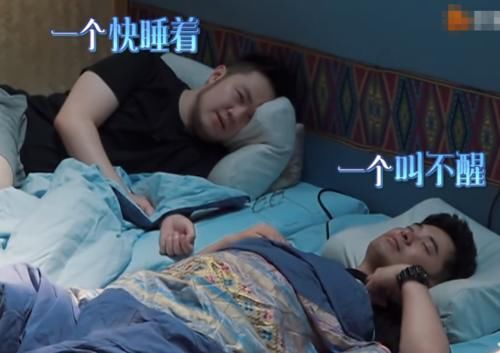  巴图|陈赫《向往4》起床困难，彭昱畅束手无策，何老师用两字轻松叫醒