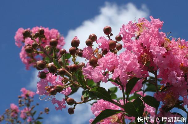 轻易|喜欢装傻的三大星座,就算拥有过人智商,也不会轻易显露出来!