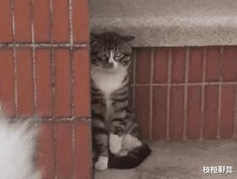 男朋友|男朋友家“拆迁款”有300w，让他给100w彩礼，这个要求不过分吧？